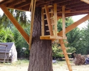 Tree House