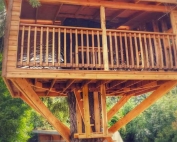 Tree House